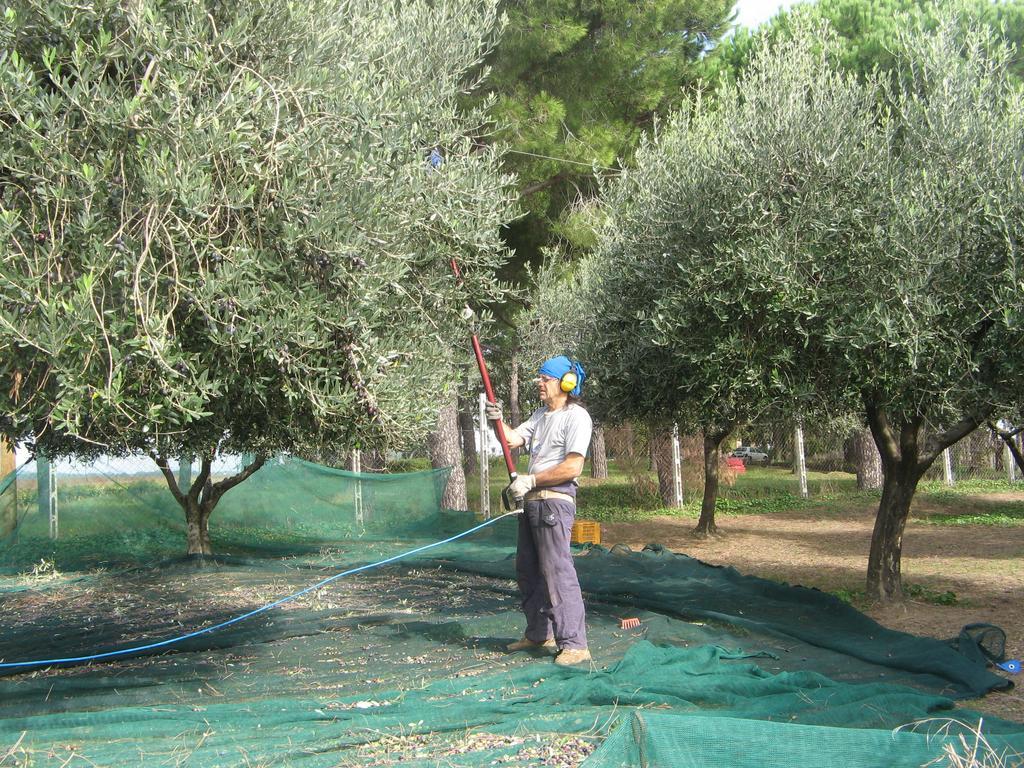Casale Del Tiglio Cerveteri Phòng bức ảnh