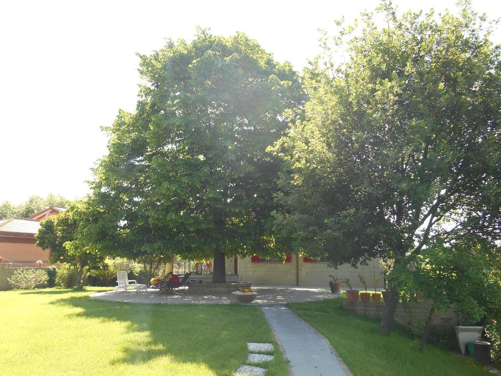 Casale Del Tiglio Cerveteri Phòng bức ảnh