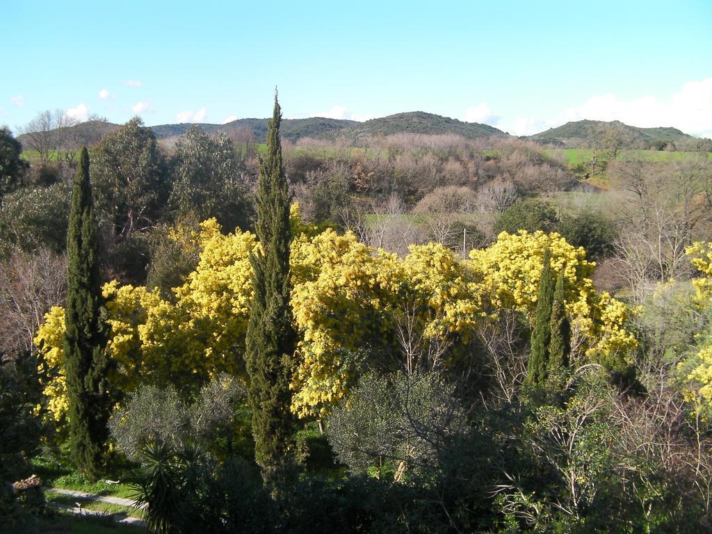 Casale Del Tiglio Cerveteri Phòng bức ảnh