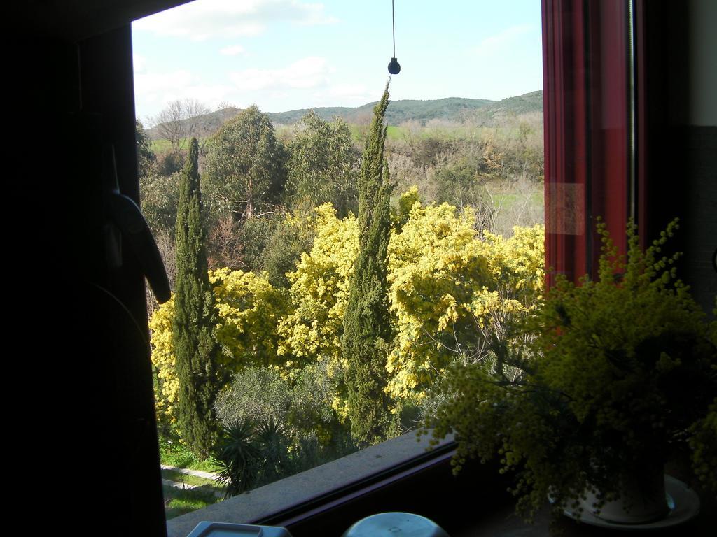 Casale Del Tiglio Cerveteri Phòng bức ảnh
