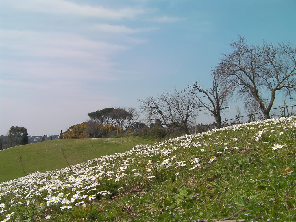 Casale Del Tiglio Cerveteri Phòng bức ảnh